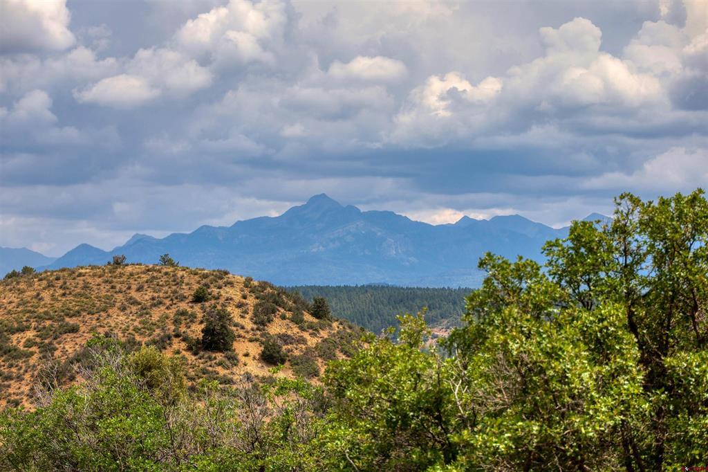 1030D County Road 139 Pagosa Springs CO 81147