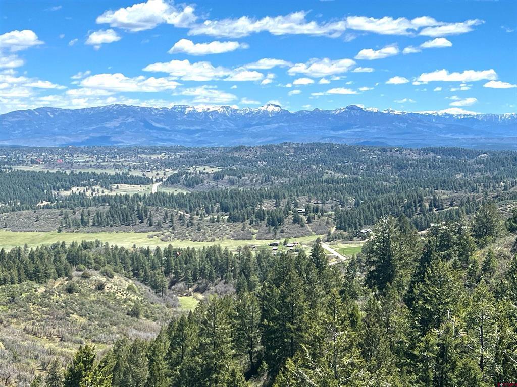 1030D County Road 139 Pagosa Springs CO 81147