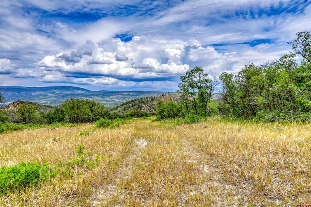 1030D County Road 139 Pagosa Springs CO 81147