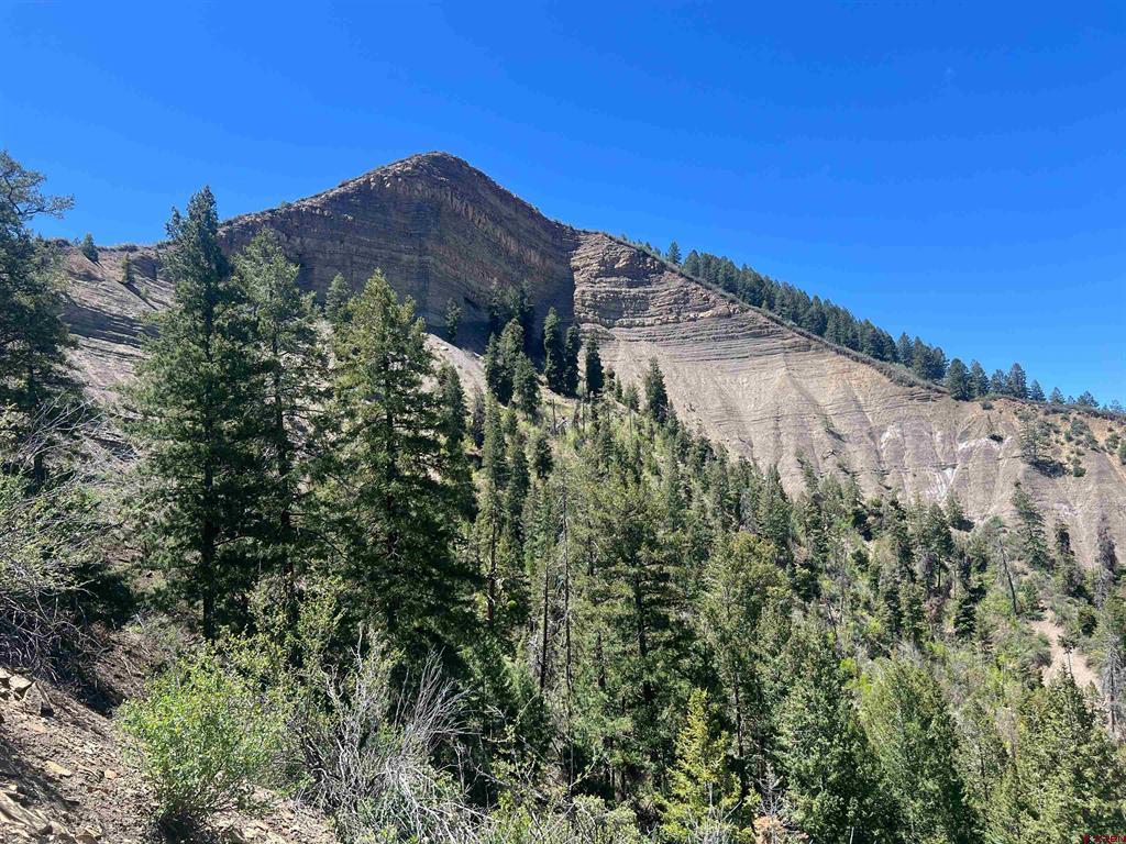 1030D County Road 139 Pagosa Springs CO 81147