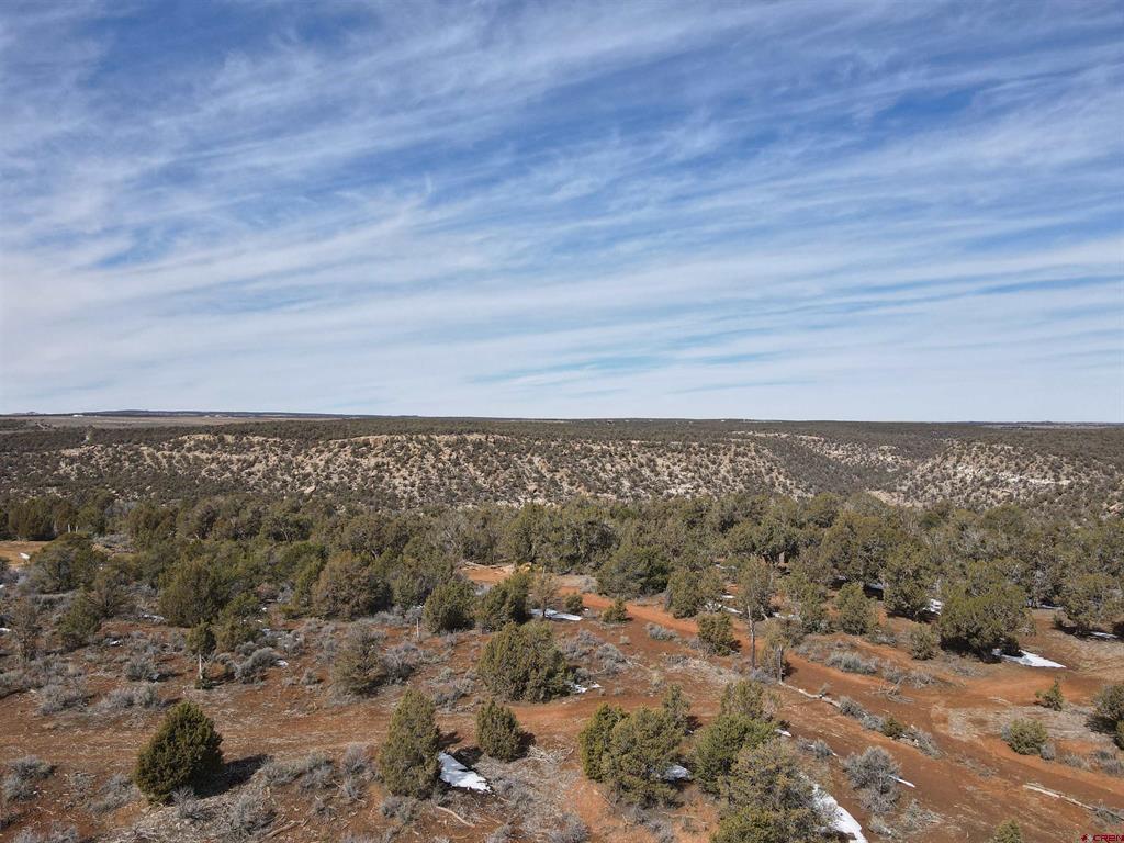 Tbd Road K Cortez CO 81321