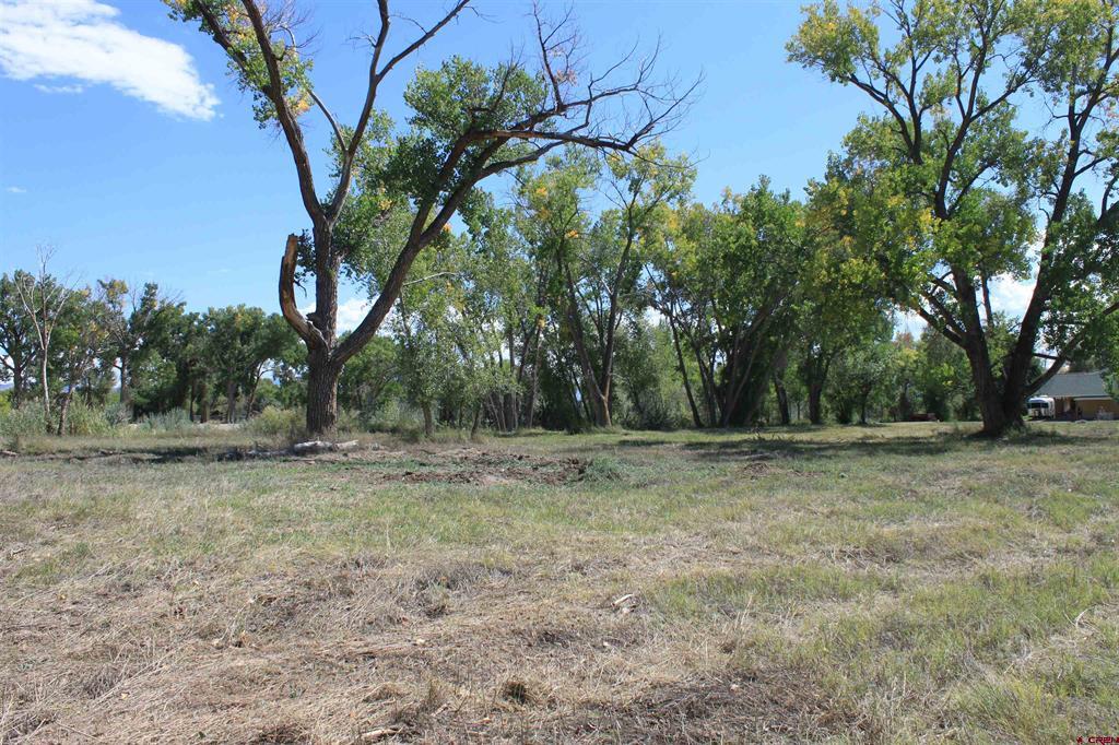 Tbd Lot 2 6360 Road Montrose CO 81403
