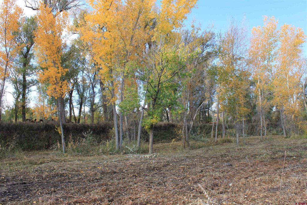 Tbd Lot 2 6360 Road Montrose CO 81403