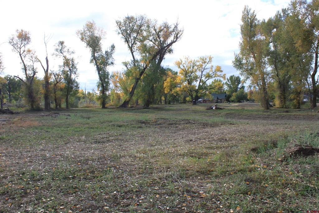 Tbd Lot 2 6360 Road Montrose CO 81403