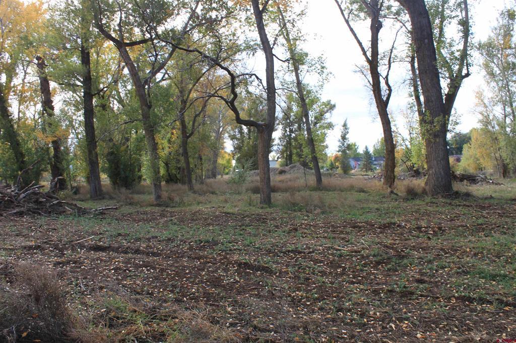 Tbd Lot 2 6360 Road Montrose CO 81403