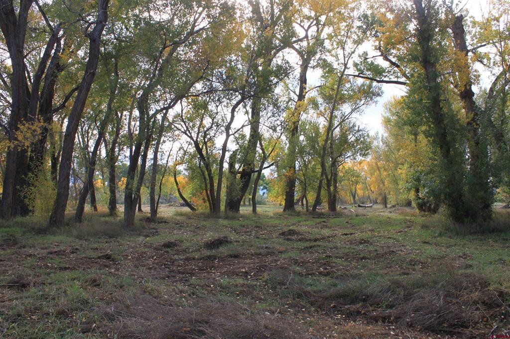 Tbd Lot 2 6360 Road Montrose CO 81403