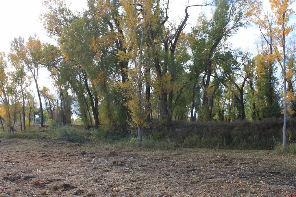 Tbd Lot 2 6360 Road Montrose CO 81403