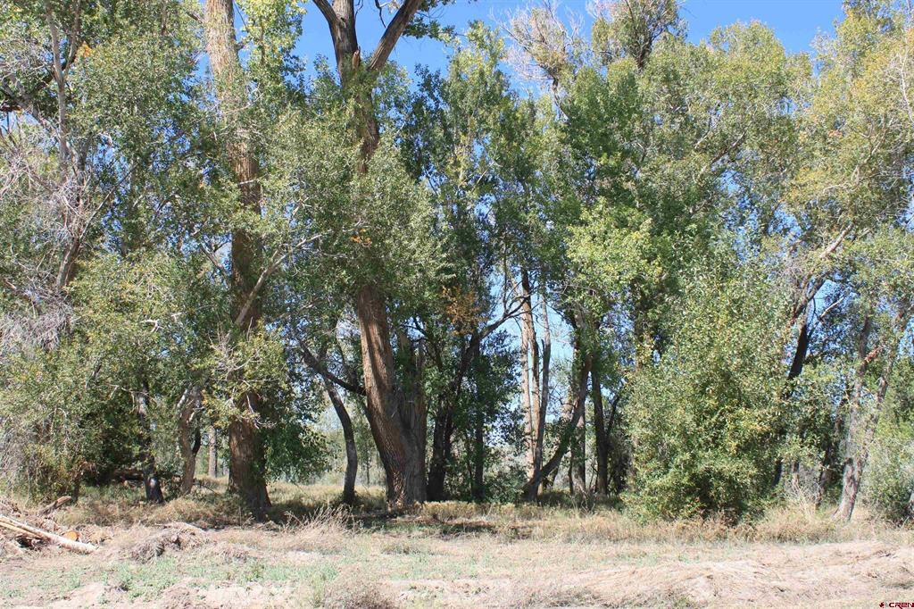 Tbd Lot 2 6360 Road Montrose CO 81403