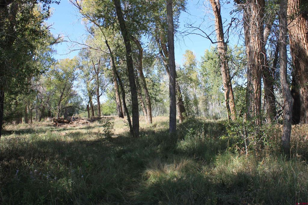 Tbd Lot 2 6360 Road Montrose CO 81403