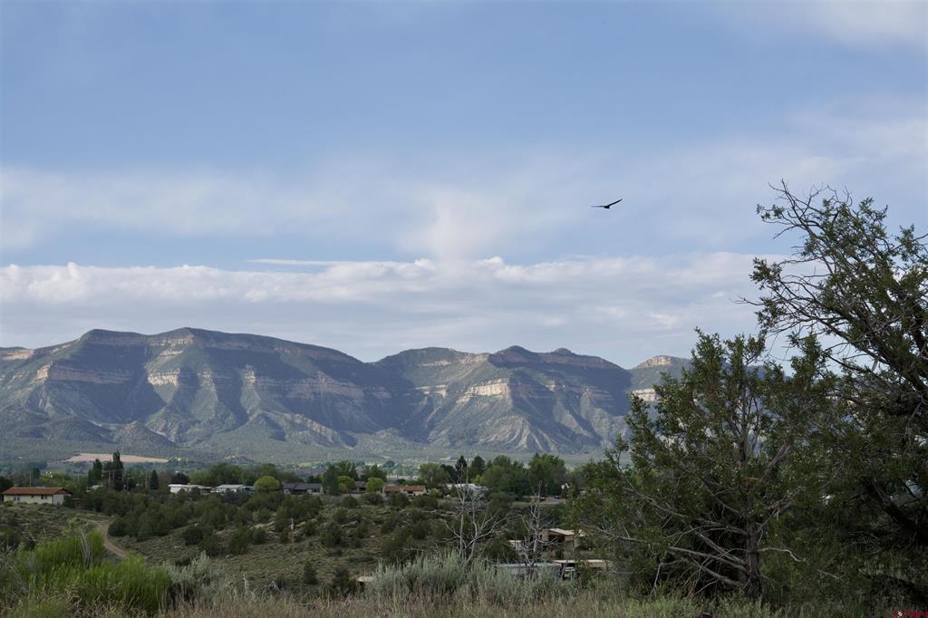 Lot 7 Road K.3 Cortez CO 81321
