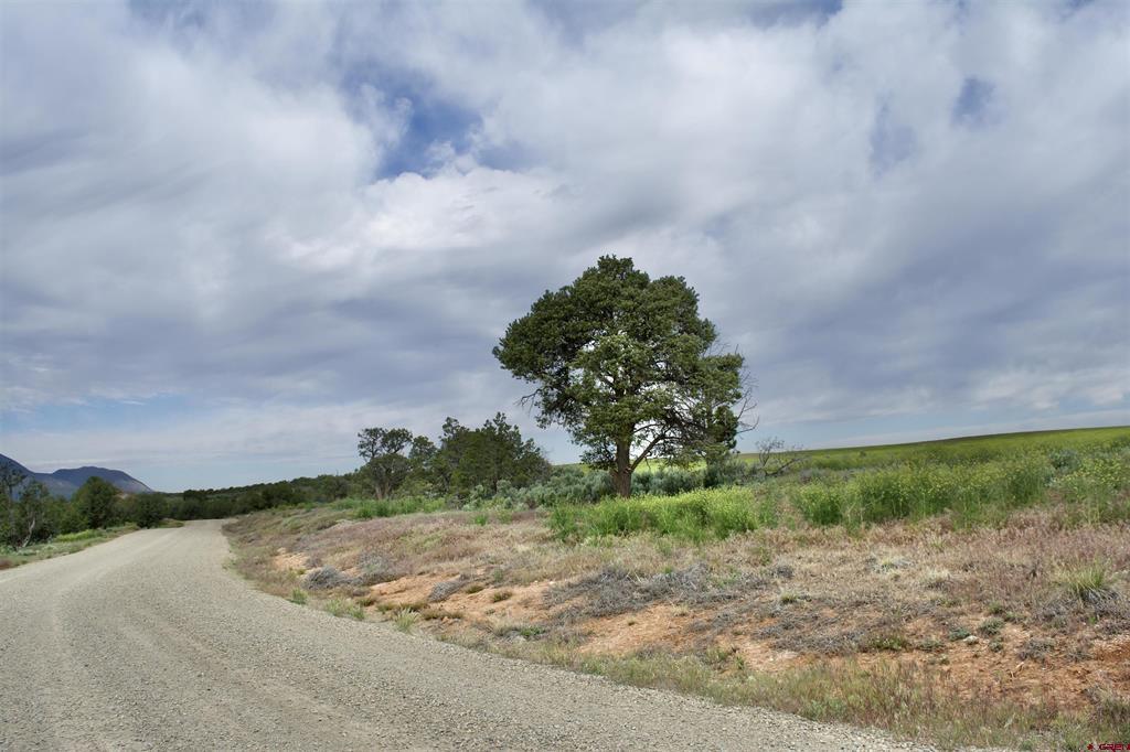 Lot 7 Road K.3 Cortez CO 81321