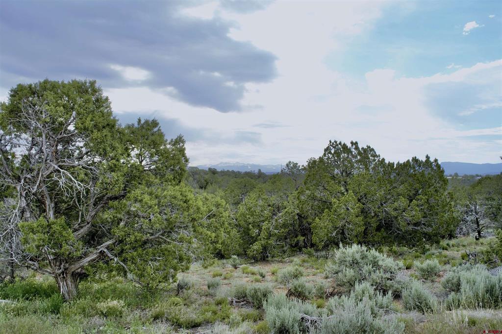 Lot 7 Road K.3 Cortez CO 81321