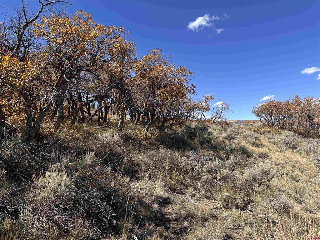 14111 County Road 26 Gunnison CO 81230