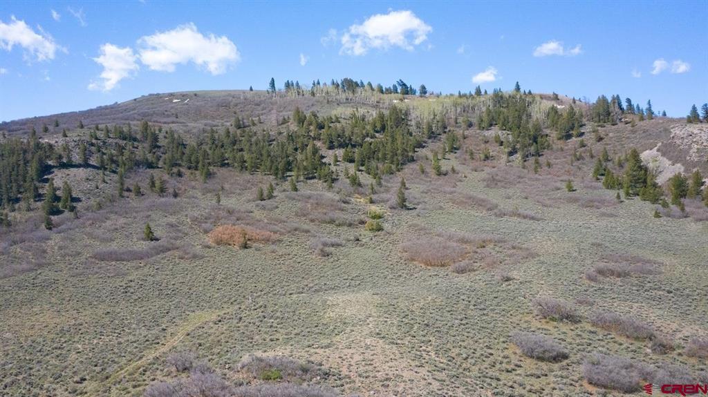 14111 County Road 26 Gunnison CO 81230