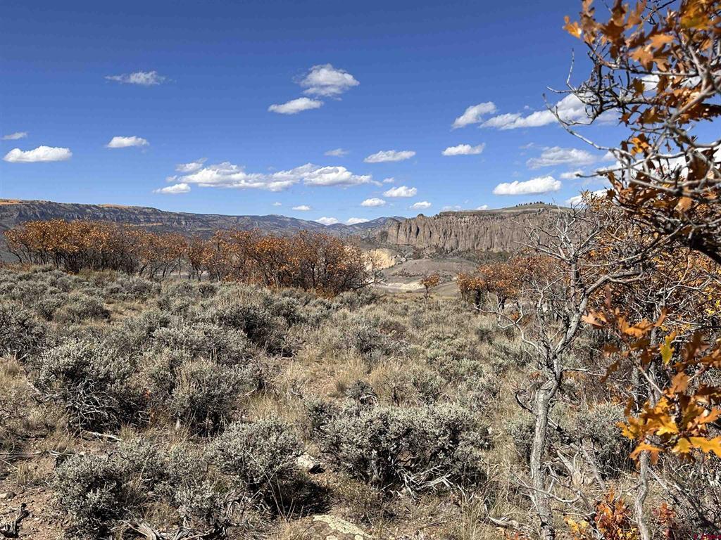 14111 County Road 26 Gunnison CO 81230