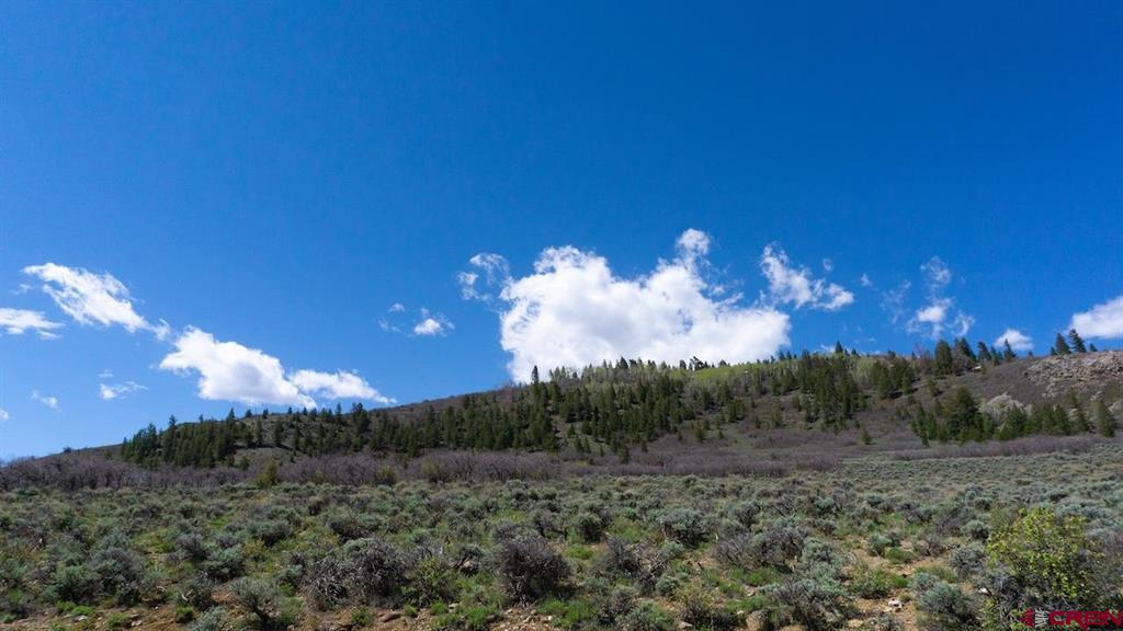 14111 County Road 26 Gunnison CO 81230