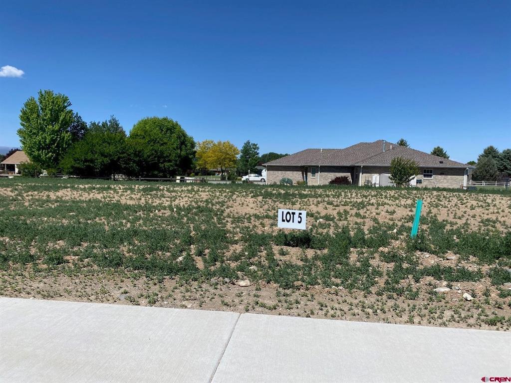 Lot 5 6700 Road Montrose CO 81401