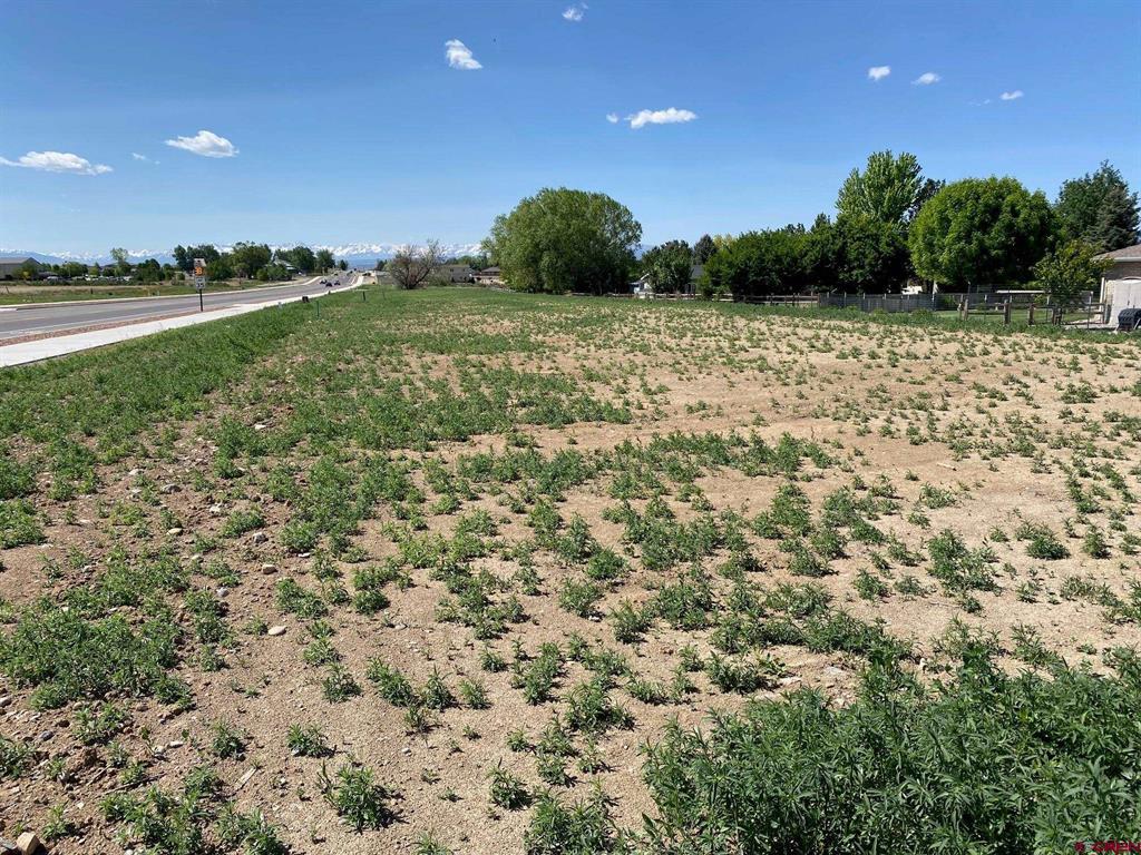 Lot 5 6700 Road Montrose CO 81401