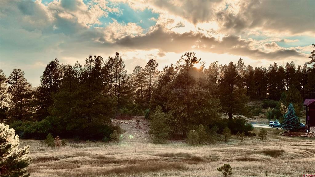 Pagosa Springs CO, 107 Chase Court