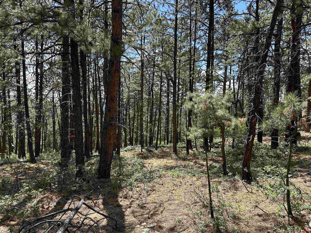324 Hilltop Drive Bayfield CO 81122