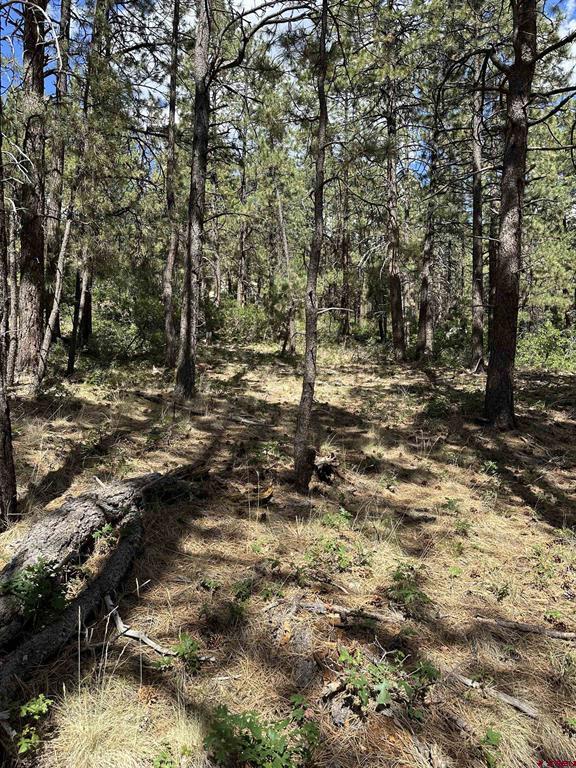 324 Hilltop Drive Bayfield CO 81122