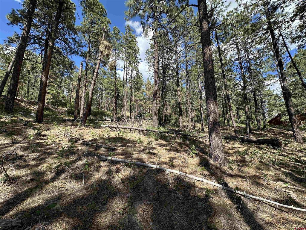 324 Hilltop Drive Bayfield CO 81122