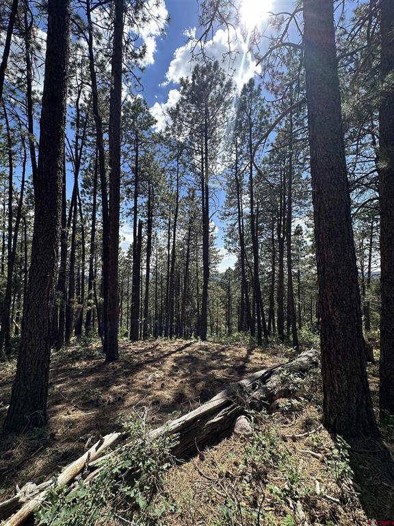 324 Hilltop Drive Bayfield CO 81122