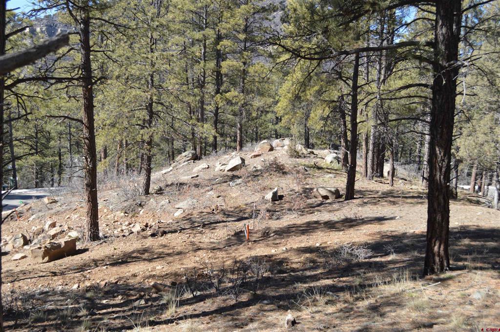 775 Tipple Avenue (Lot 148) Durango CO 81301
