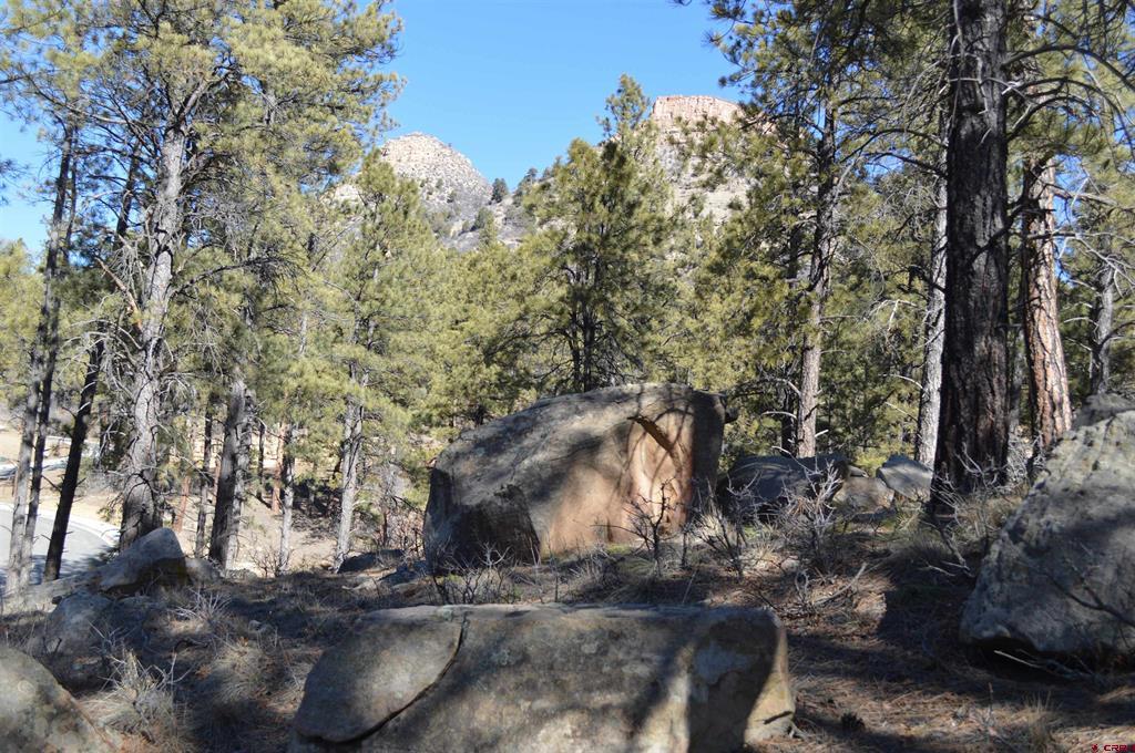 775 Tipple Avenue (Lot 148) Durango CO 81301