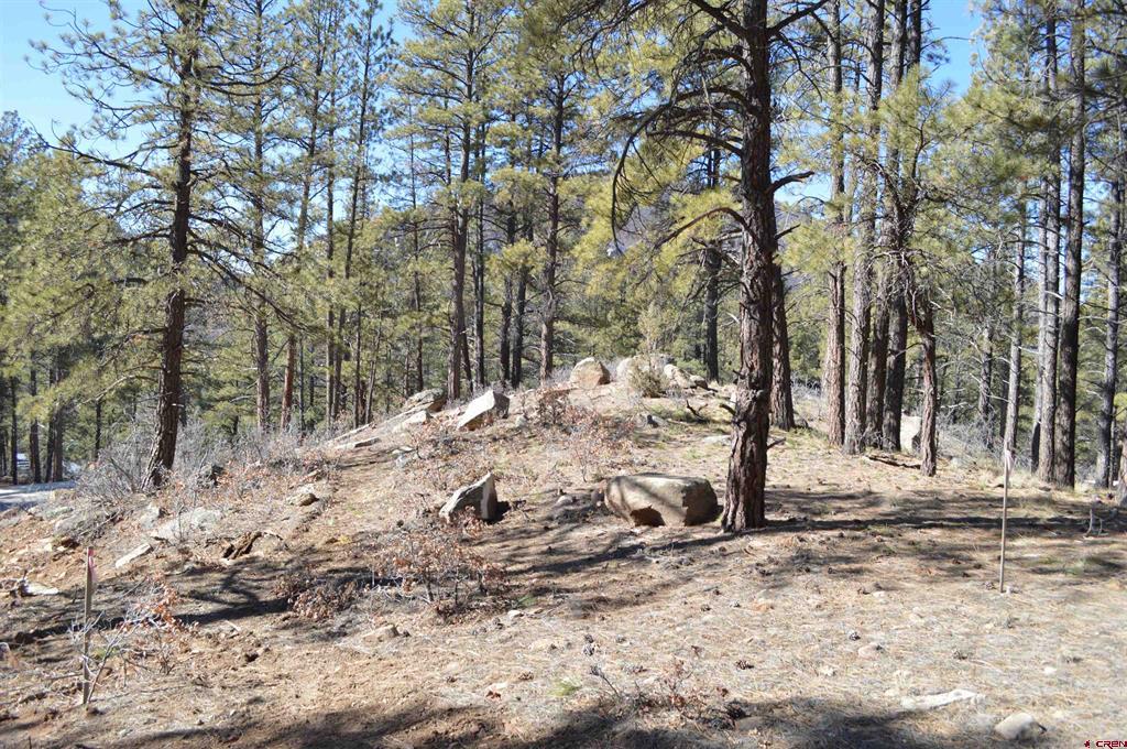 775 Tipple Avenue (Lot 148) Durango CO 81301