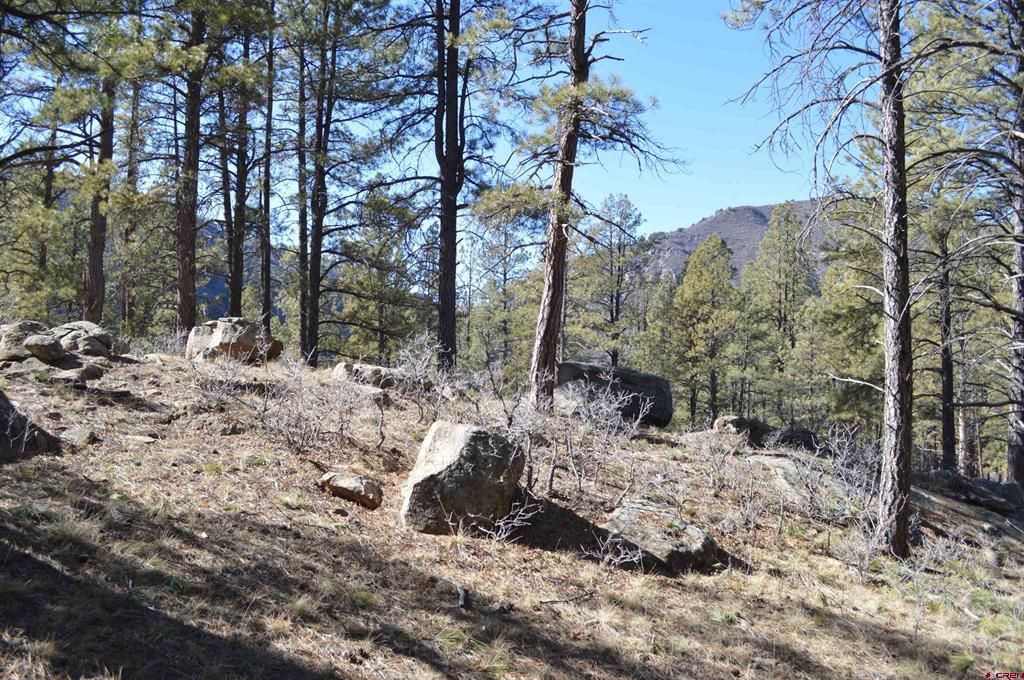 775 Tipple Avenue (Lot 148) Durango CO 81301