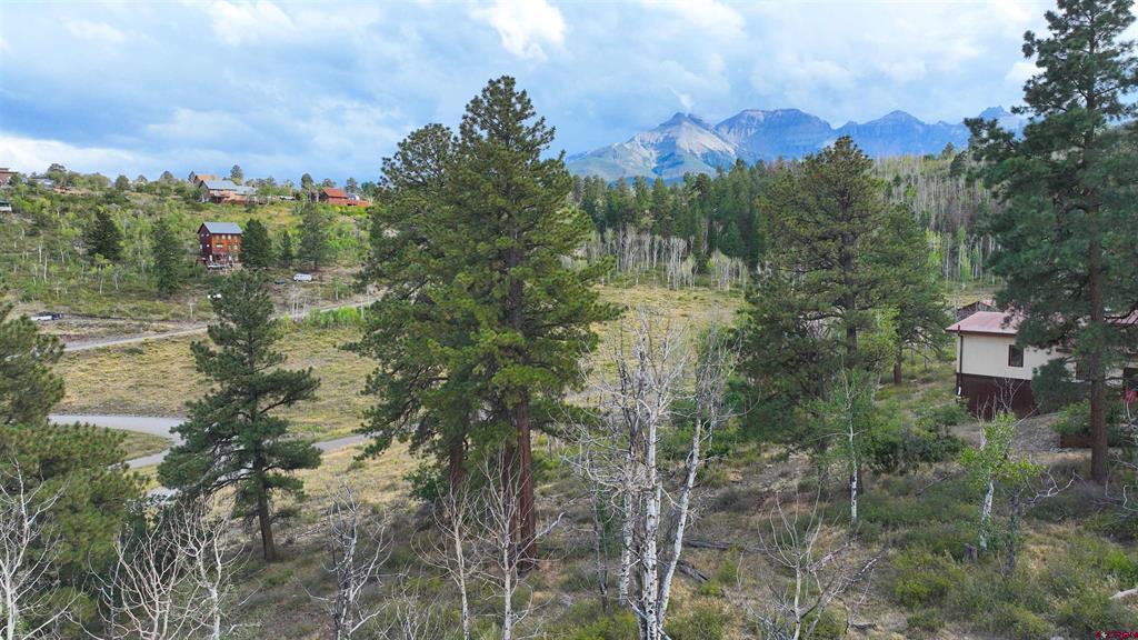 Tbd Aspen Drive Ridgway CO 81432