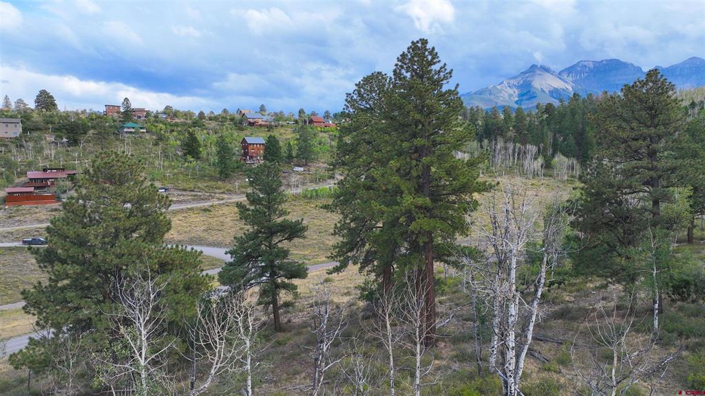 Tbd Aspen Drive Ridgway CO 81432