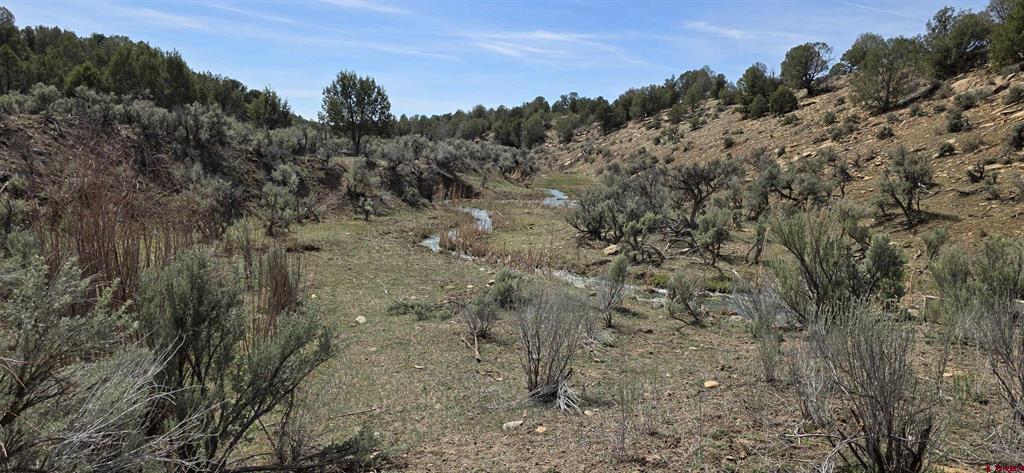 5846 Street Highway 140 Hesperus CO 81326