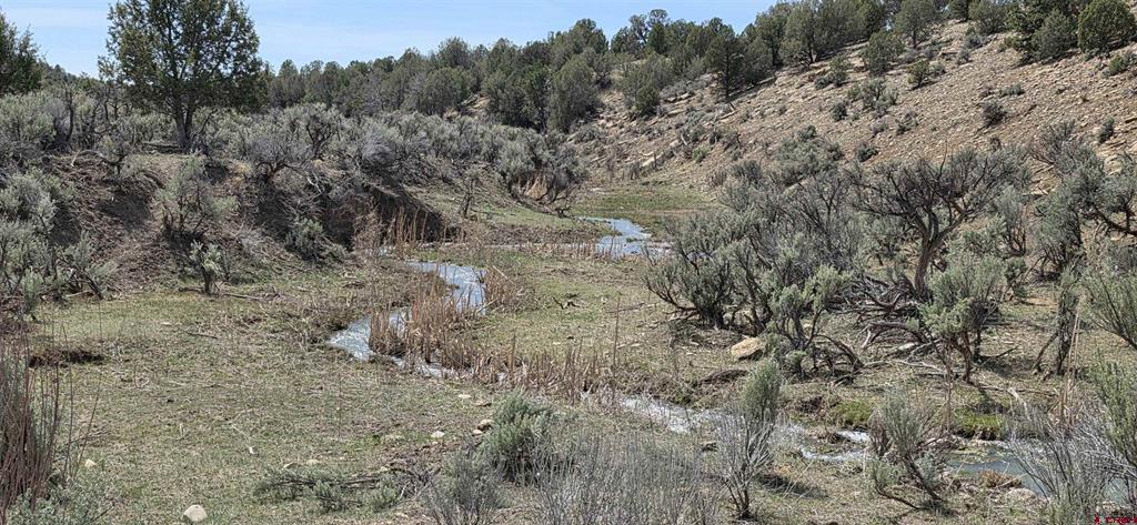5846 Street Highway 140 Hesperus CO 81326