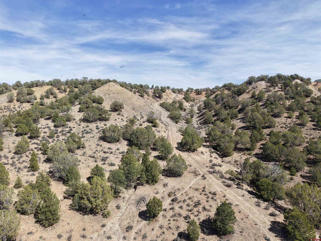 5846 Street Highway 140 Hesperus CO 81326