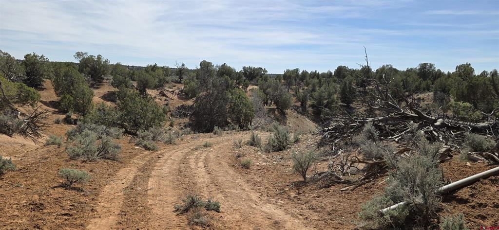 5846 Street Highway 140 Hesperus CO 81326