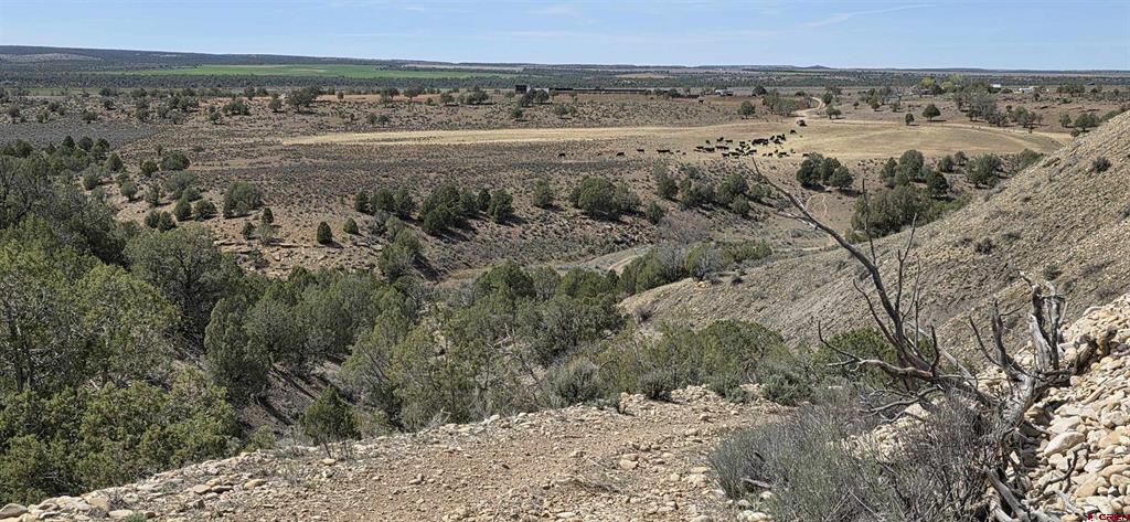 5846 Street Highway 140 Hesperus CO 81326