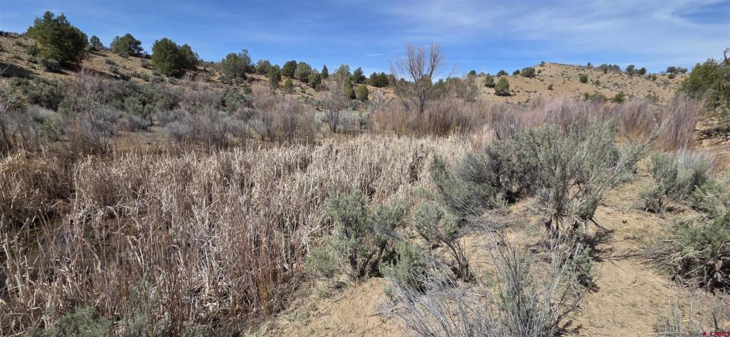 5846 Street Highway 140 Hesperus CO 81326