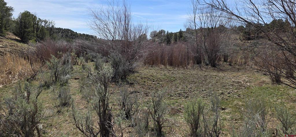 5846 Street Highway 140 Hesperus CO 81326