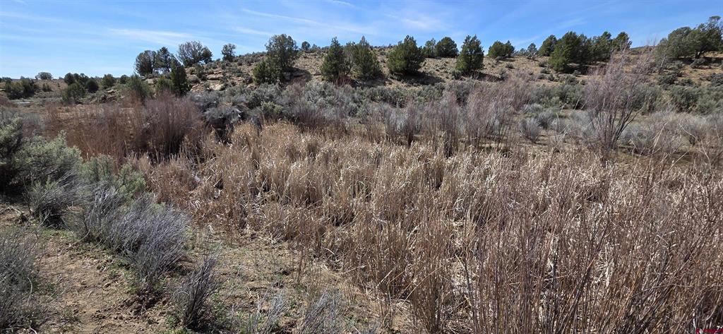 5846 Street Highway 140 Hesperus CO 81326