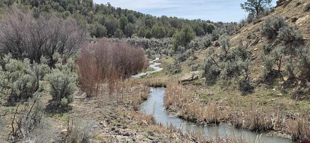 5846 Street Highway 140 Hesperus CO 81326