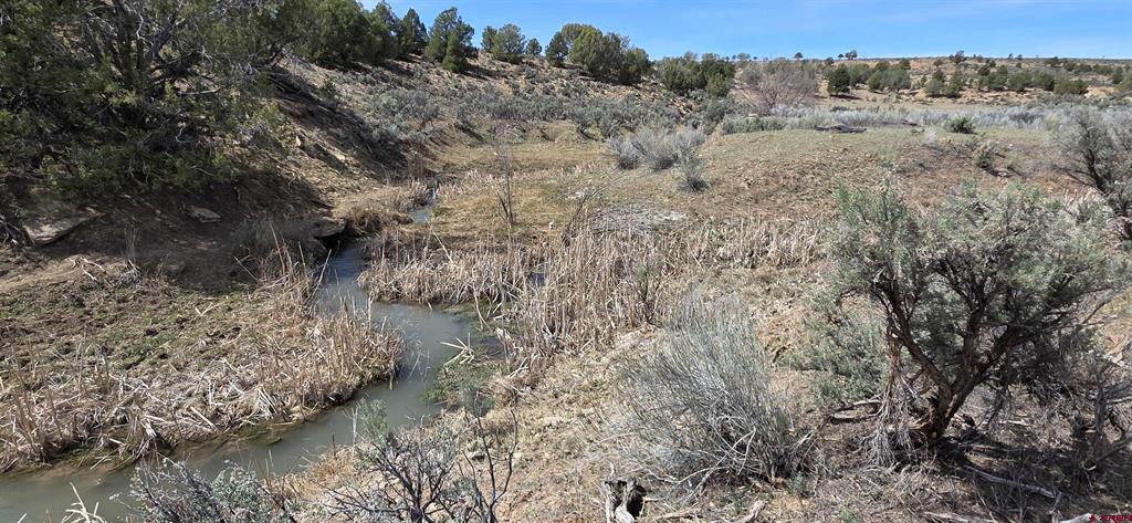 5846 Street Highway 140 Hesperus CO 81326