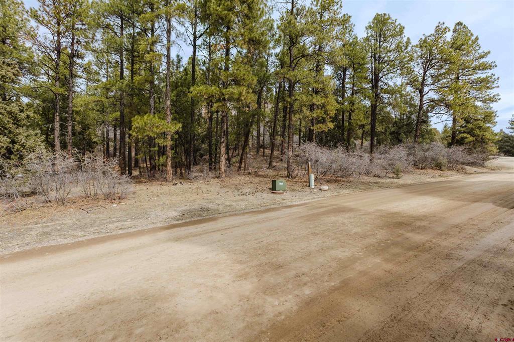 25 Woodland Drive Pagosa Springs CO 81147