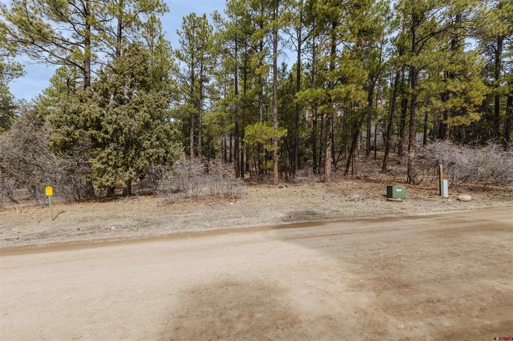 25 Woodland Drive Pagosa Springs CO 81147