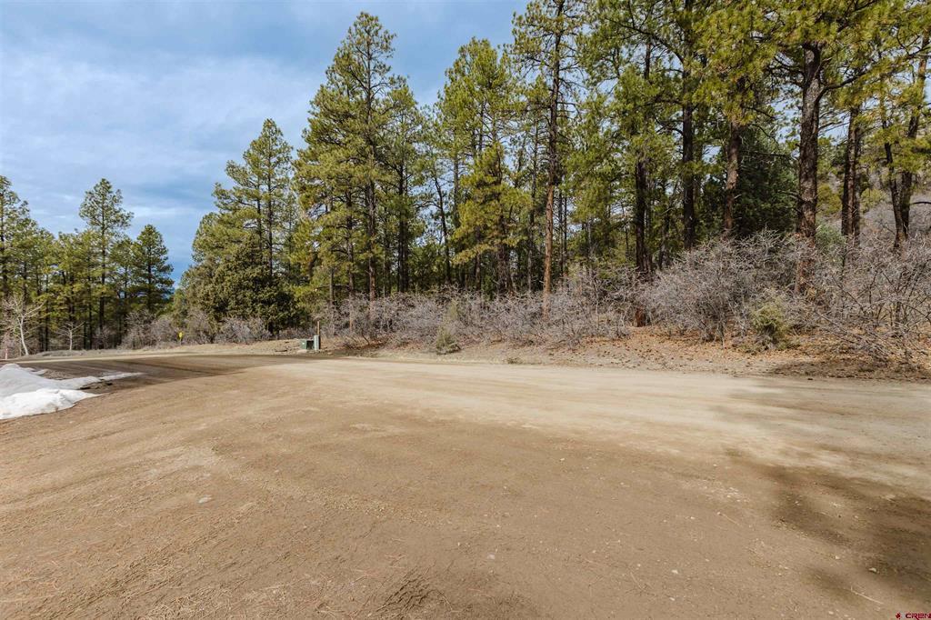 25 Woodland Drive Pagosa Springs CO 81147