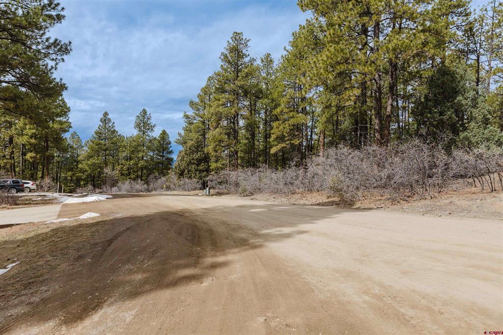 25 Woodland Drive Pagosa Springs CO 81147