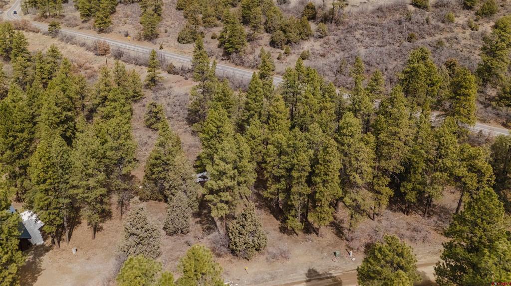 25 Woodland Drive Pagosa Springs CO 81147