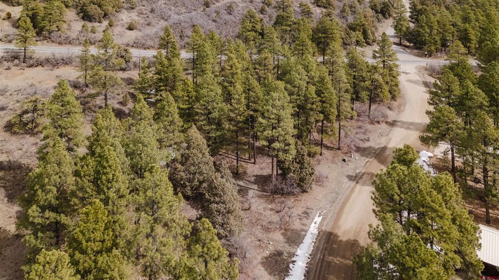 25 Woodland Drive Pagosa Springs CO 81147