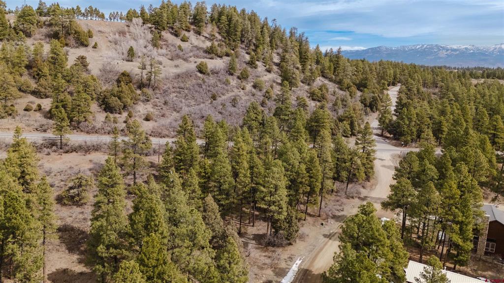 25 Woodland Drive Pagosa Springs CO 81147